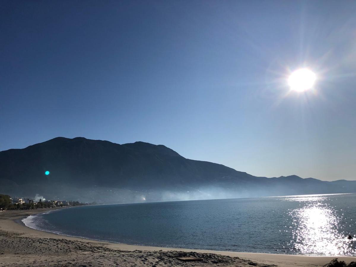 Elion Luxury Apartments Kalamata Eksteriør billede